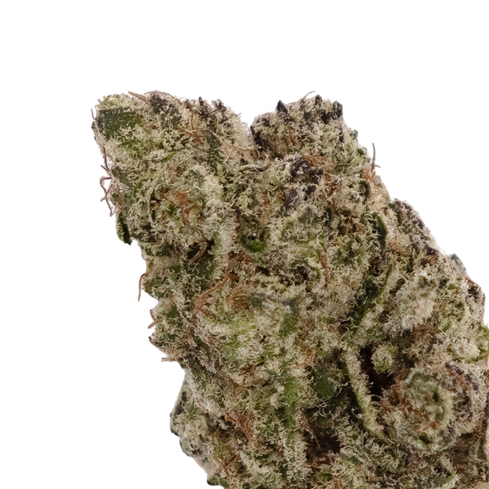 Petalz | Exotic THCa Flower : 1G