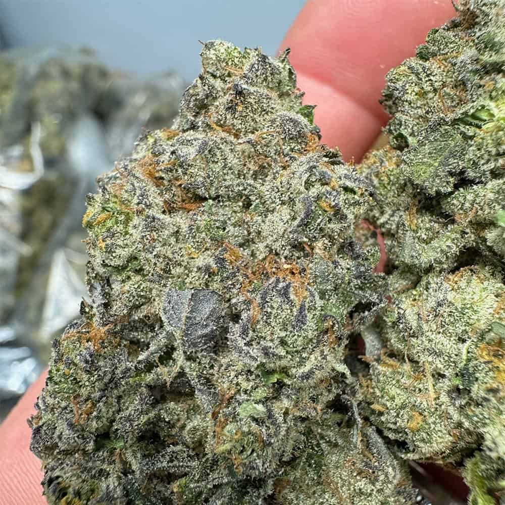 THCa Flower | Guava Cookies : SATIVA (35.72%)