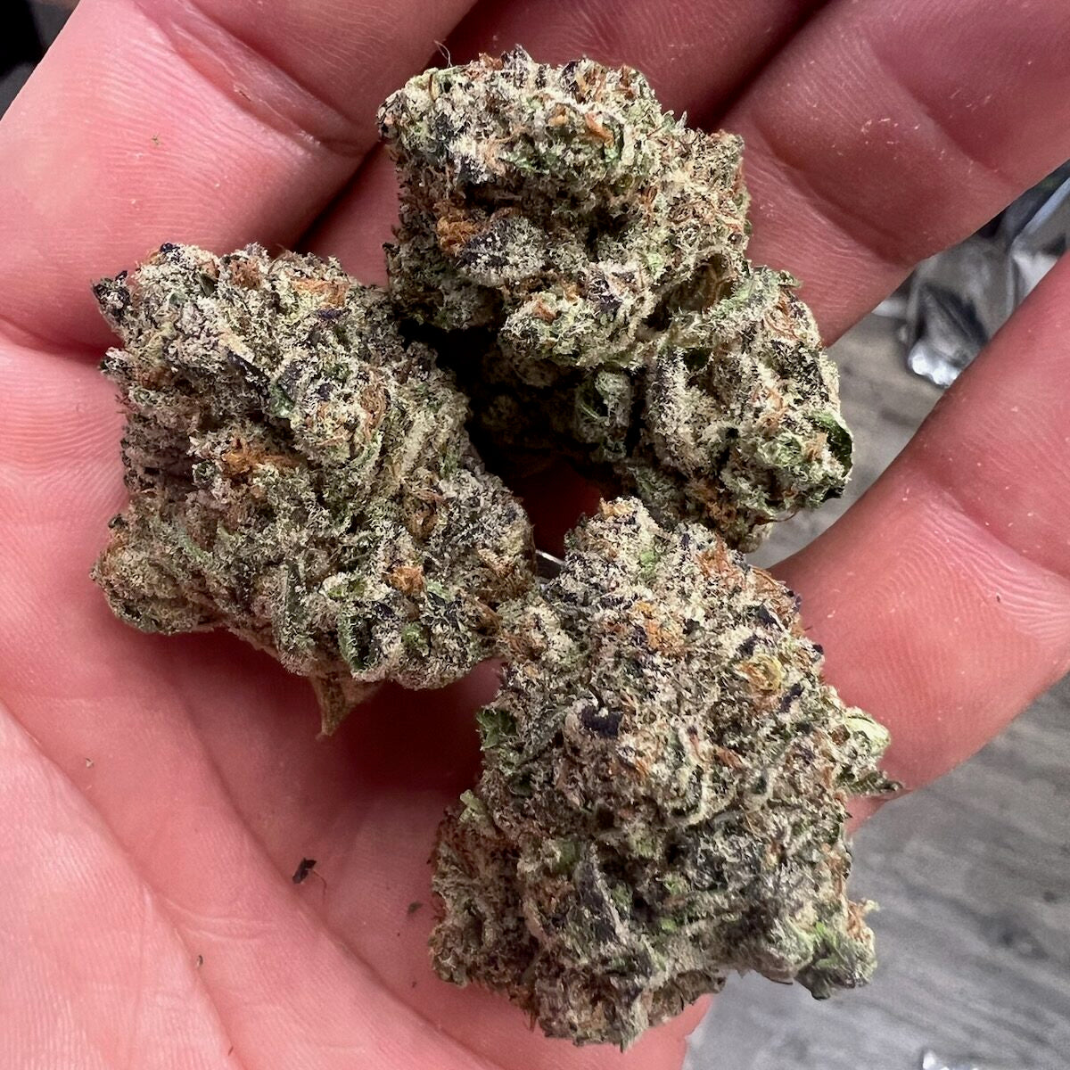 THCa Flower | Oreoz : INDICA (32.46%)